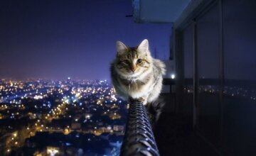 Стоит ли рискнуть заработать на онлайн играх?